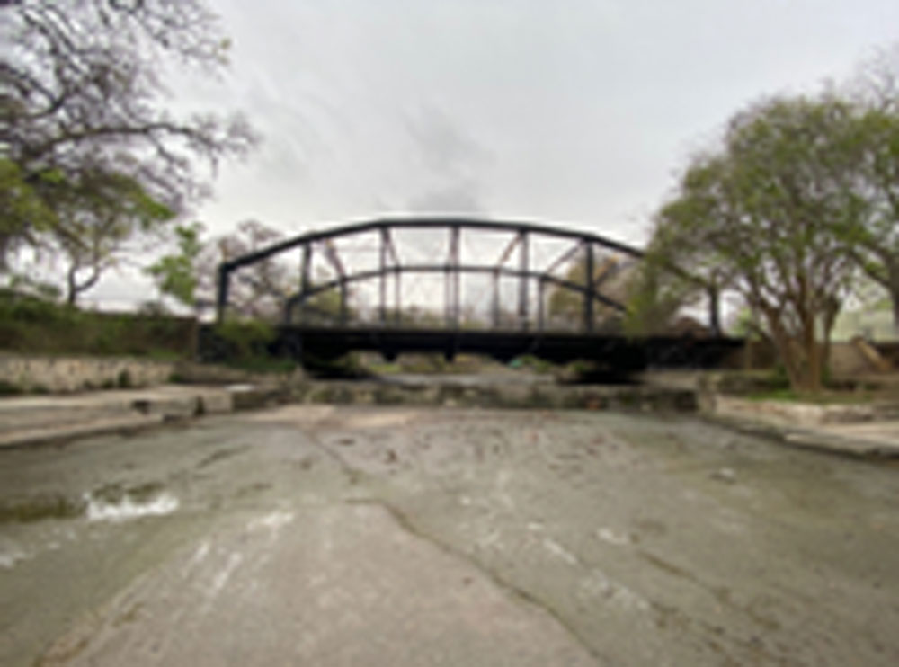 drz_image_gallery_brack-2.jpg